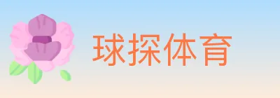 球探体育 Logo